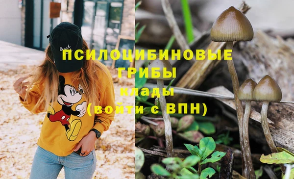 винт Алексин