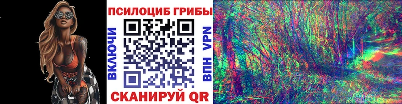 Галлюциногенные грибы Cubensis  Нижний Ломов 